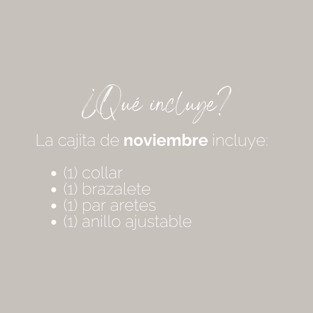 Monthly Treasure Box - Noviembre