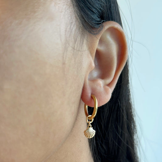 Mini Seashell Hoops