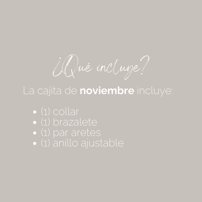 Monthly Treasure Box - Noviembre