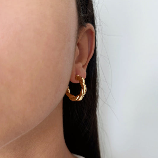 Renata Twisted Earrings