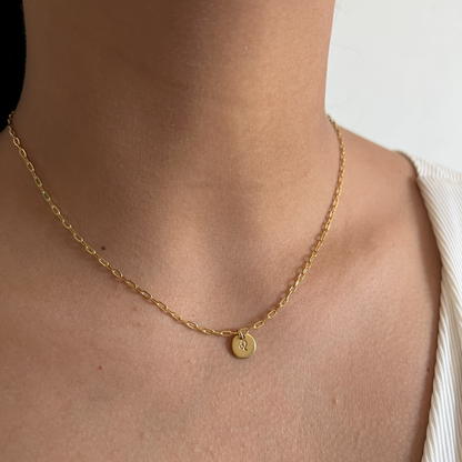 The Zodiac Sign Necklace