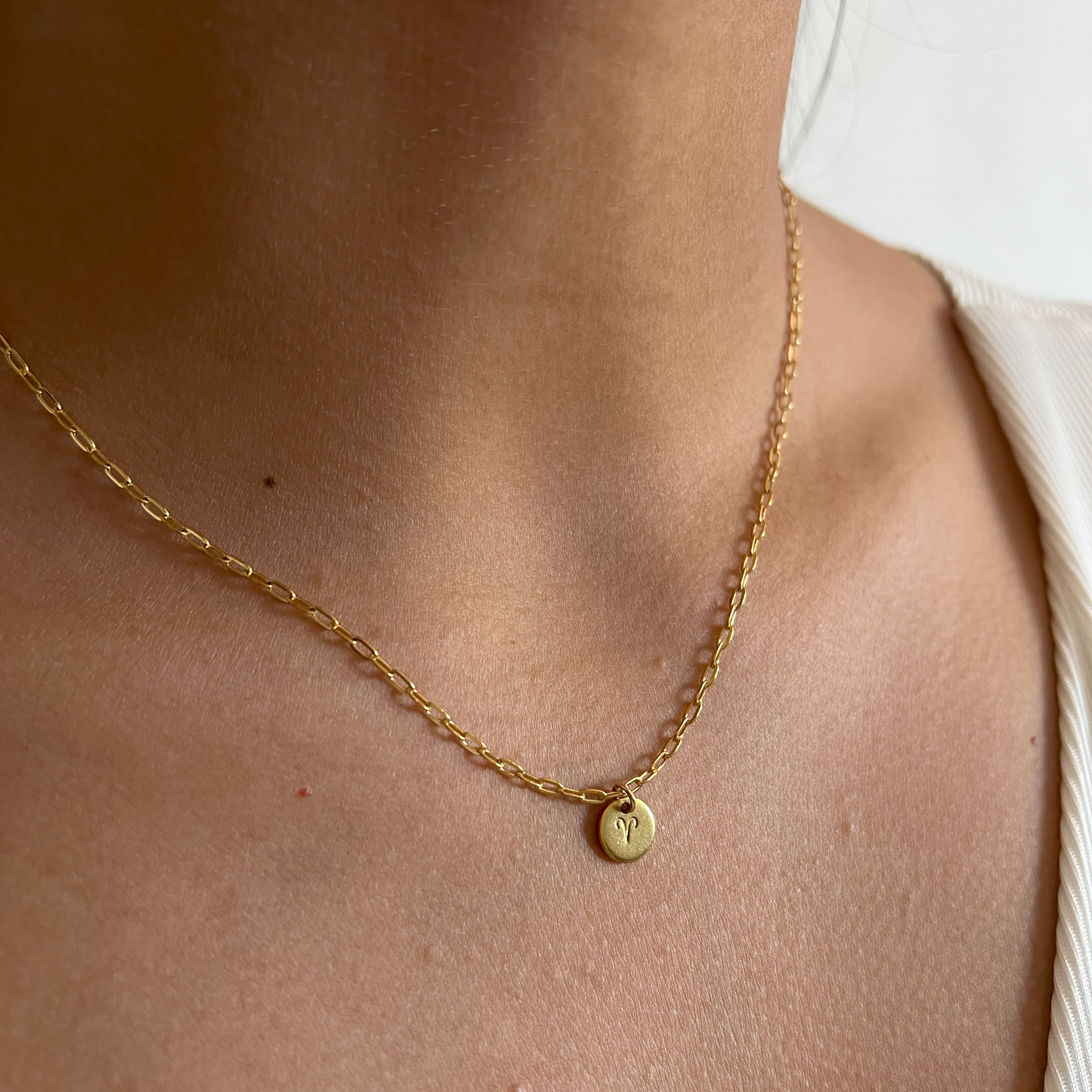 The Zodiac Sign Necklace