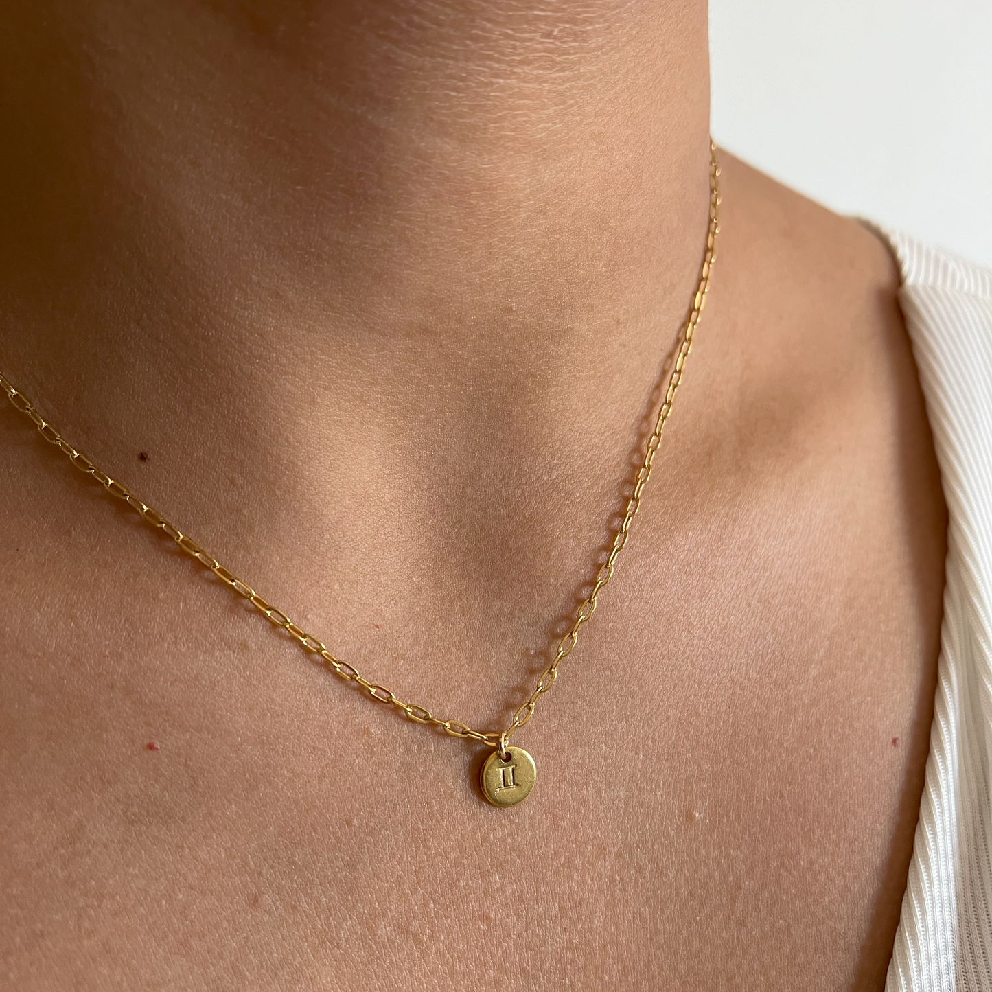 The Zodiac Sign Necklace