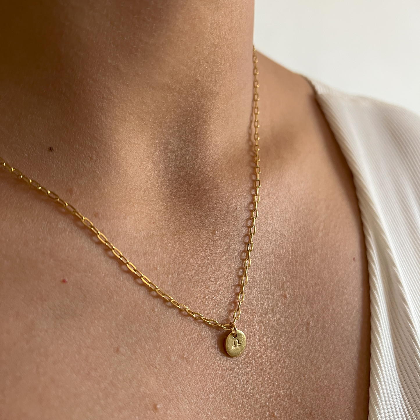 The Zodiac Sign Necklace