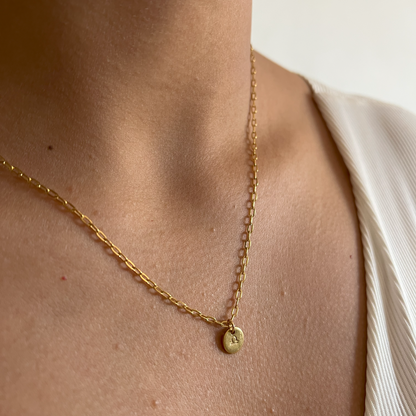 The Zodiac Sign Necklace