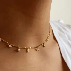 dani choker