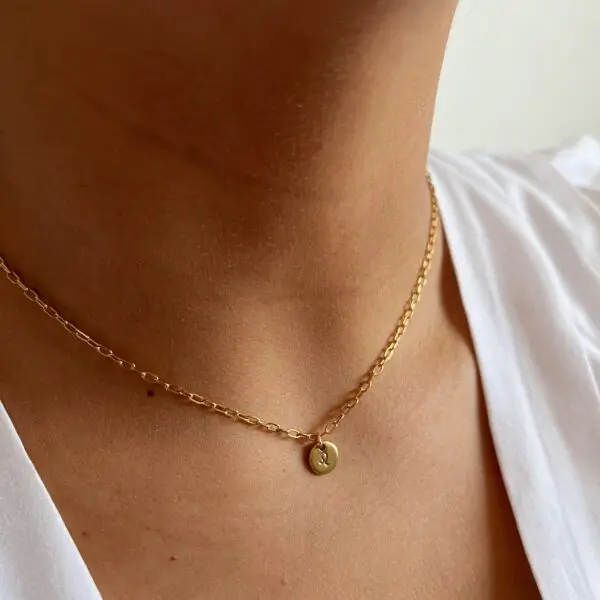 The Zodiac Sign Necklace