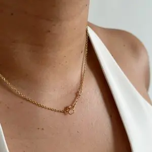 Petite Paw Necklace