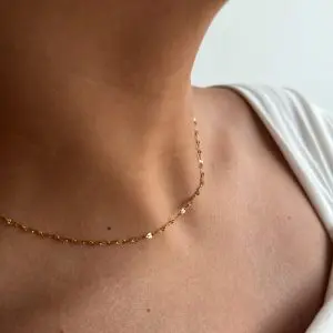 Delicate Necklace